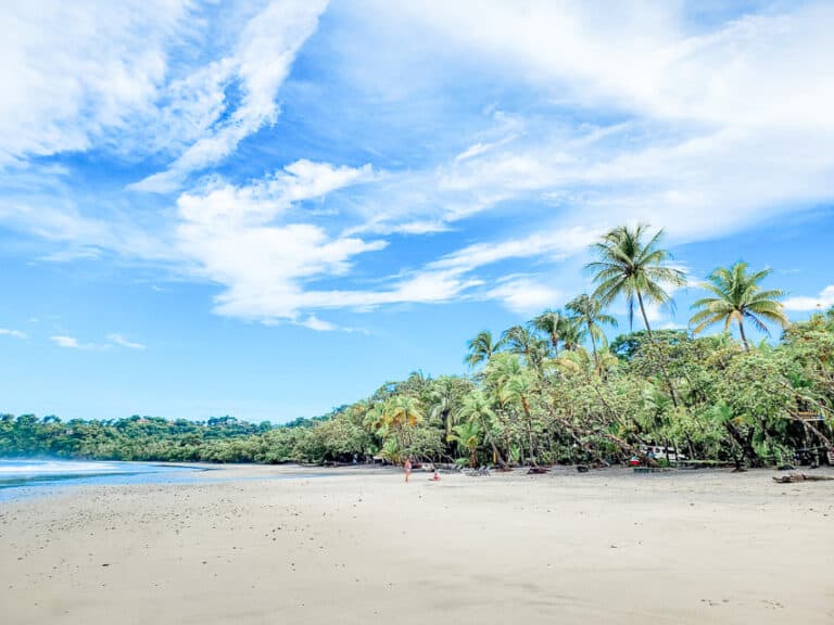 14 Best Hotels and Resorts in Manuel Antonio, Costa Rica