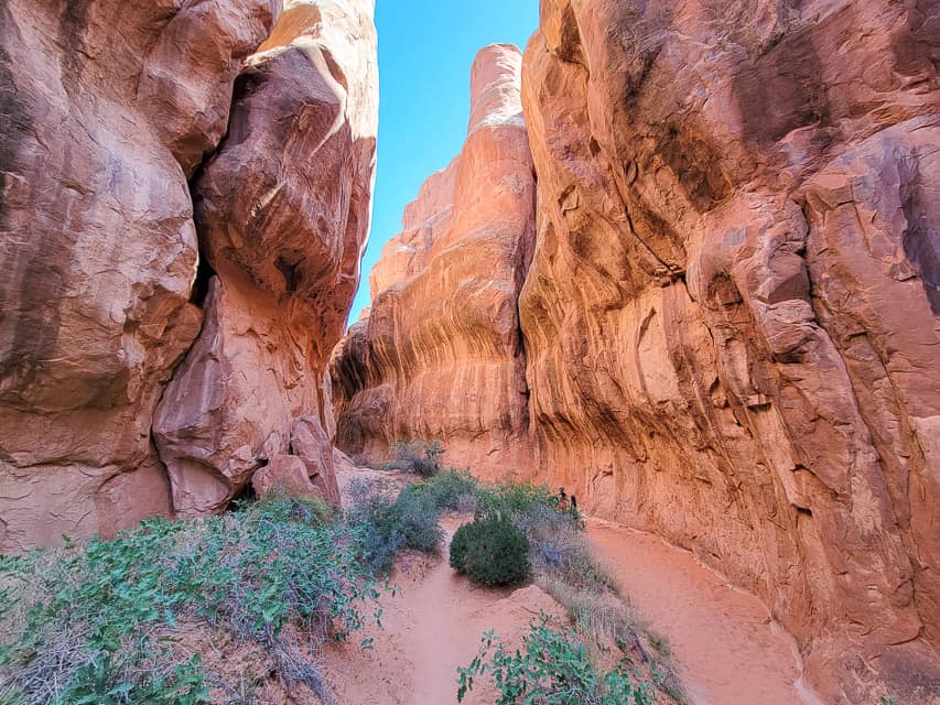 A narrow, curving canyon with a sandy path on one side and plants and vegetation on the other. 