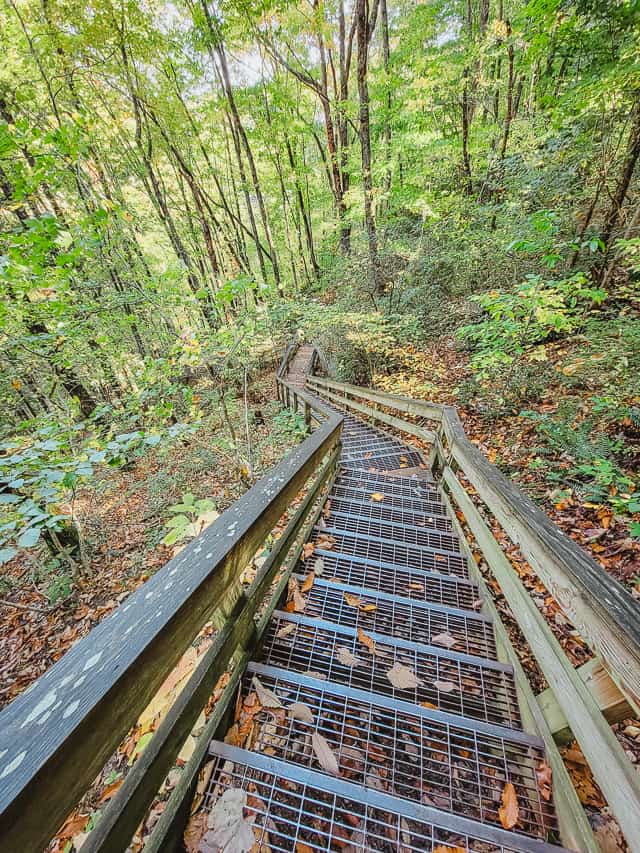 A steep staircase with metal treads and wooden rains descends into the forest. 
