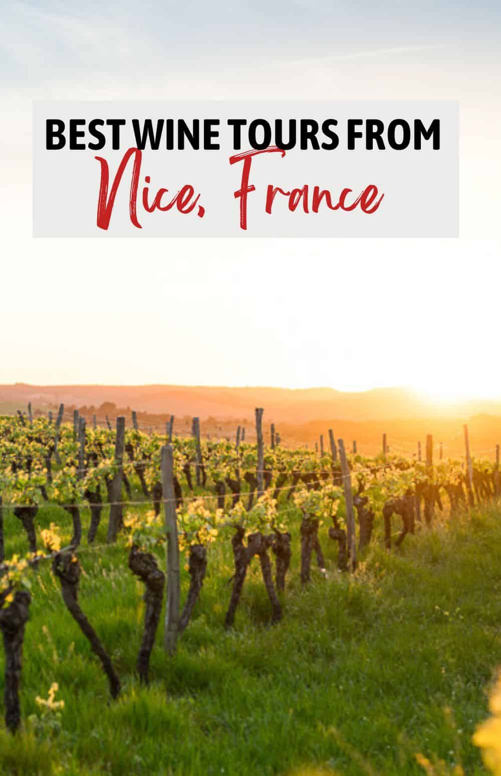 7 Best Wine Tours in Nice for Your French Riviera Vacation [2024]