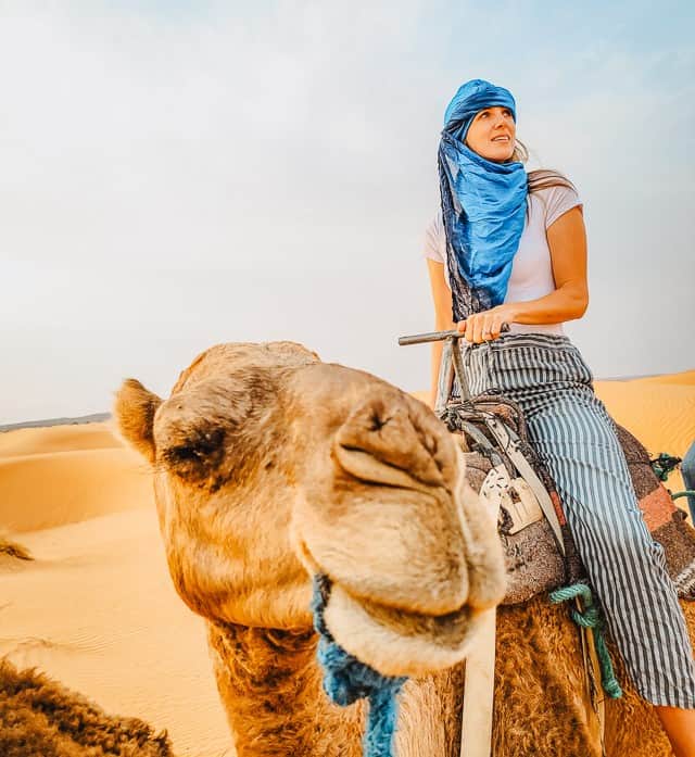 A woman in a blue turban sits on top of a camel in the middle of the Sahara, and both are looking off into the distance. Riding a camel is one of the funnest parts of doing a Sahara desert tour. 
