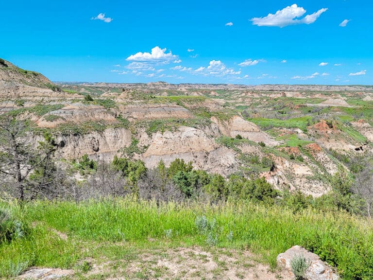 28 BEST Things to Do in Theodore Roosevelt National Park (South Unit)