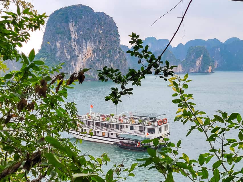 In the foreground are leaves of a tree, in the background is Bai Tu Long Bay, the cruise ship, and tall mountain karsts