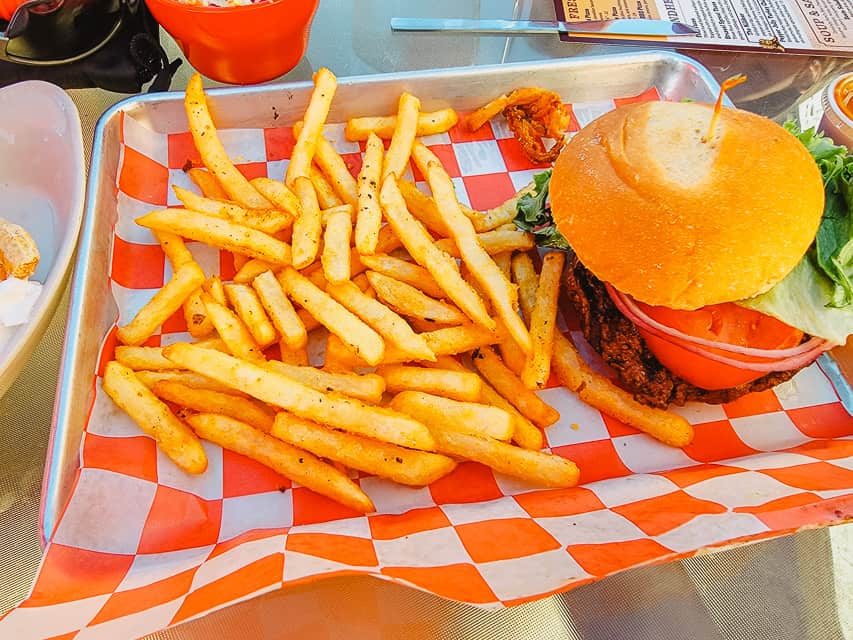 A tray of fries and a bison burger.