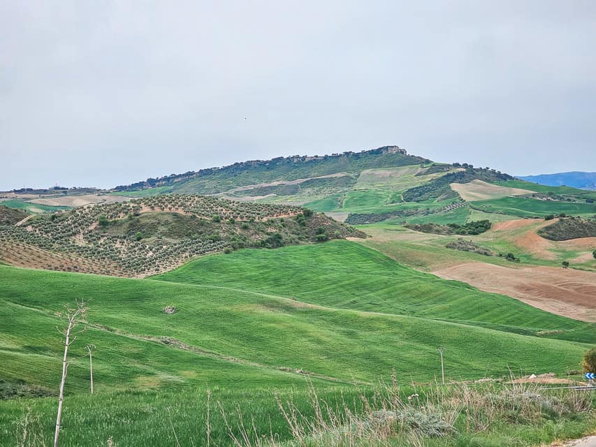 Rolling green hills and olive trees in Andalusia.