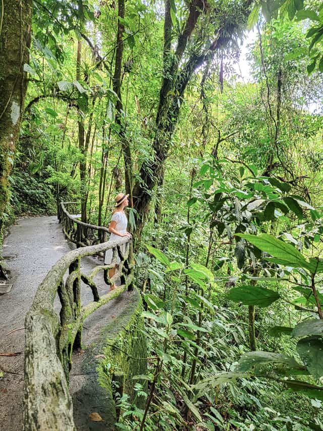 A woman in a white dress stands on a pathway, looking out over the jungle in Mistico Park in La Fortuna. 