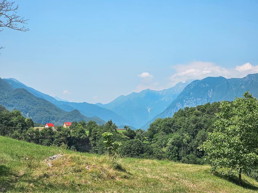 A small field of grass meets with lush green trees and in the background rolling mountains. 