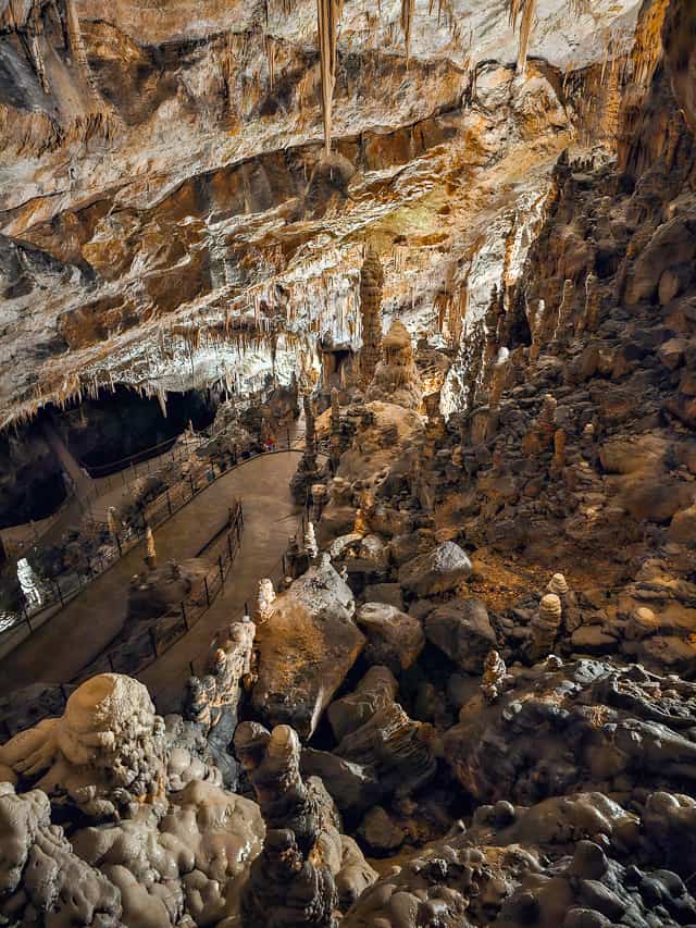 A large cavern in Postojna Cave is filled with hundreds of stalagmites.