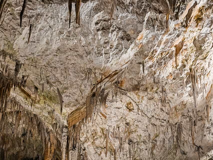 A cavern ceiling is covered with very small stalactites and sheets of combined stalactites. 