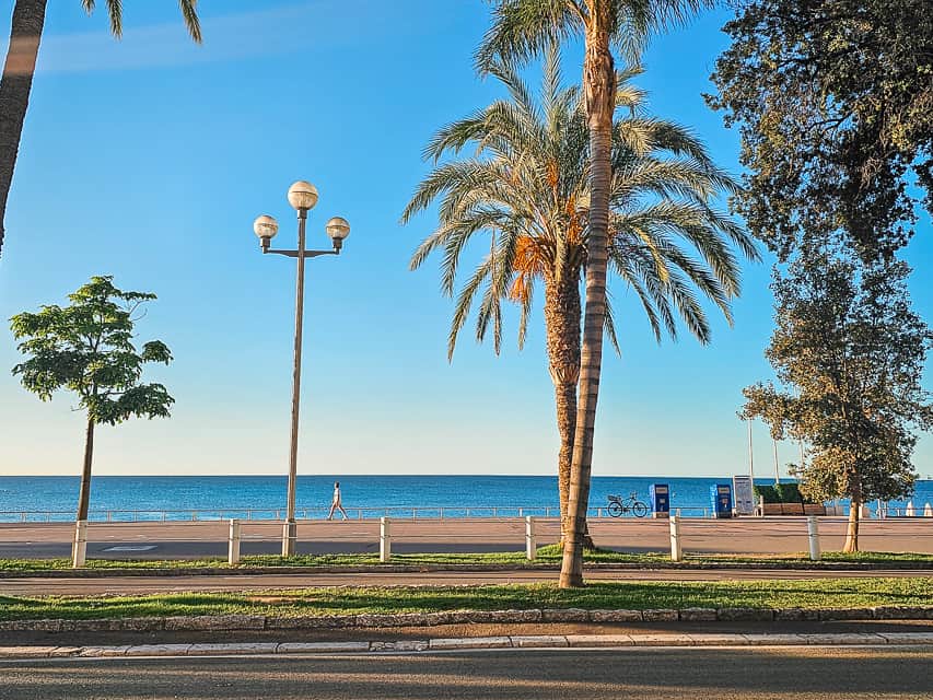 A beach seen from the coast of Nice with palm trees looking out towards a sidewalks and deep blue water. 