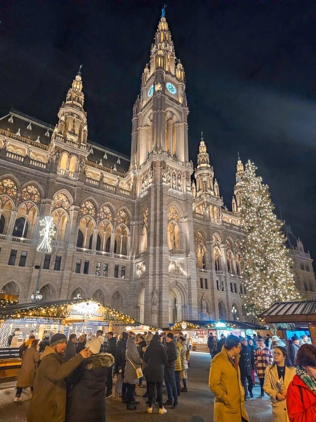 A Detailed Guide To The 10 Best Vienna Christmas Markets